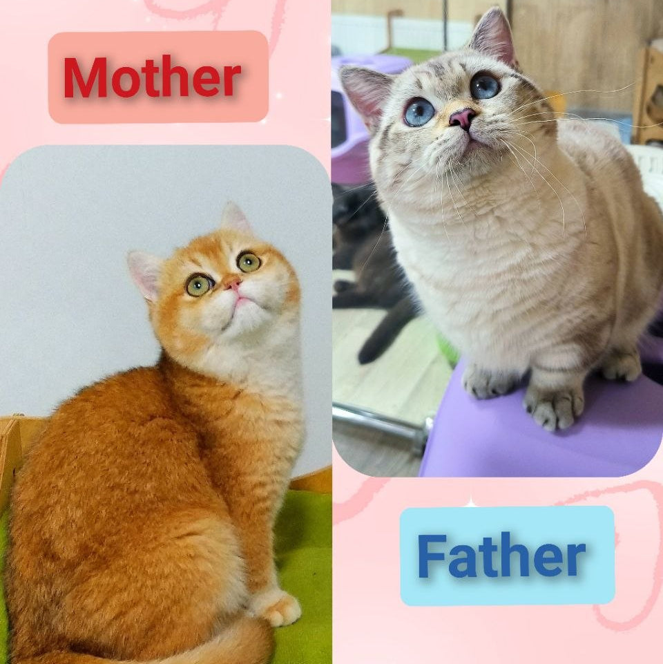 
                  
                    Kiara
                  
                
