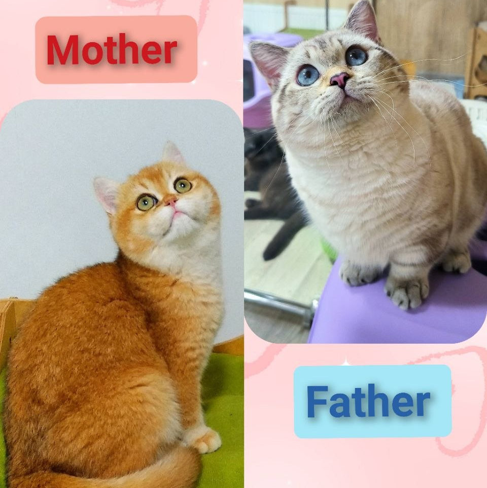 
                  
                    Kasper
                  
                