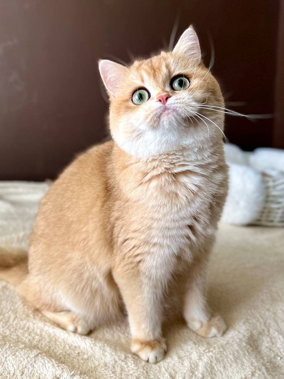
                  
                    Tina
                  
                