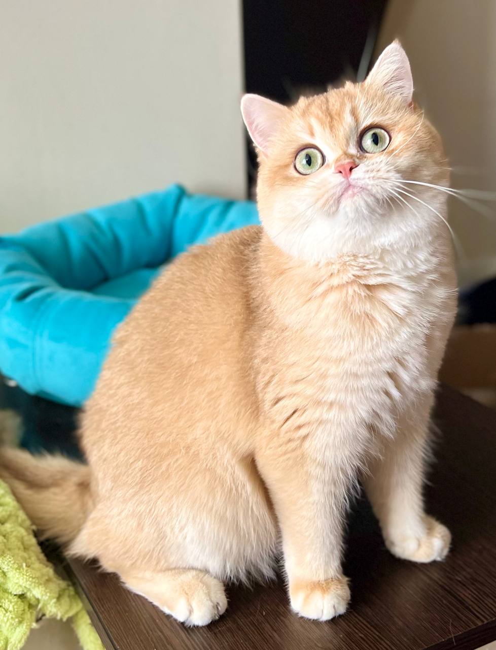 
                  
                    Tina
                  
                