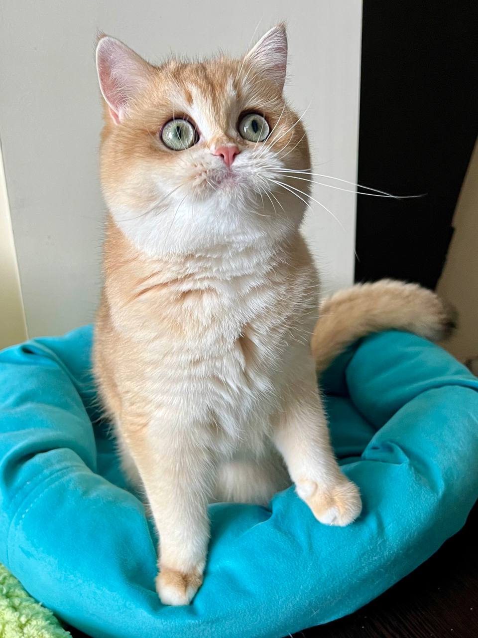 
                  
                    Tina
                  
                