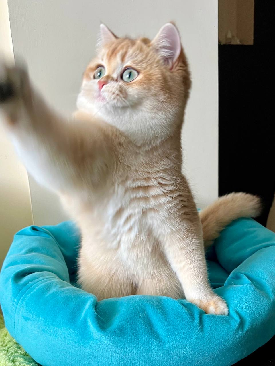
                  
                    Tina
                  
                