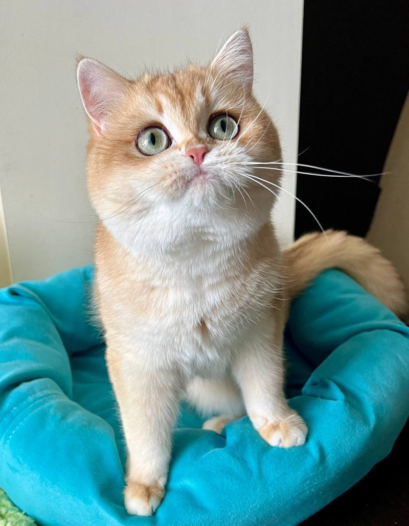 Tina