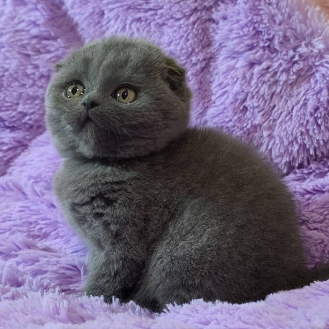 
                  
                    Tom
                  
                