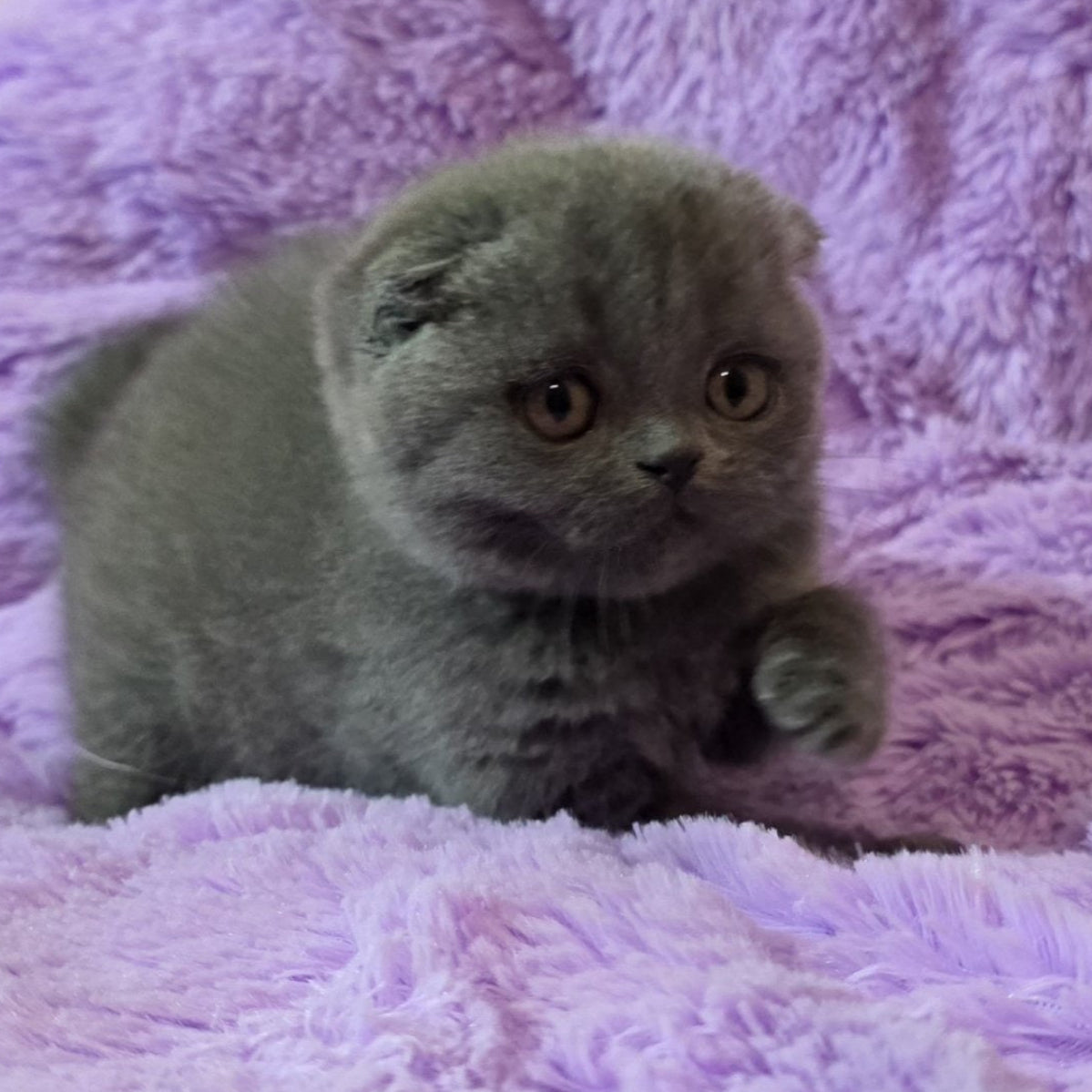 
                  
                    Tom
                  
                