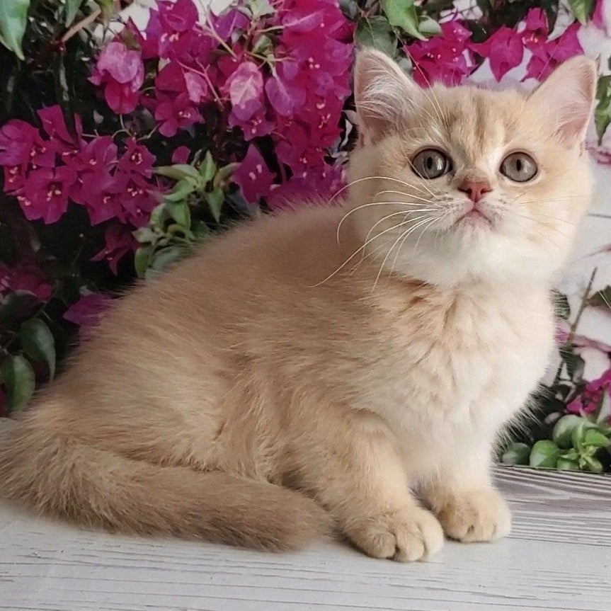 
                  
                    Alan
                  
                