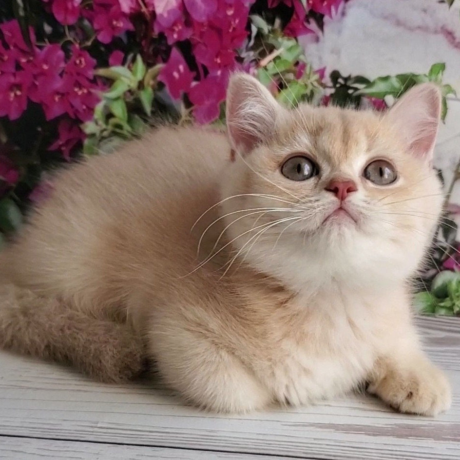 
                  
                    Alan
                  
                