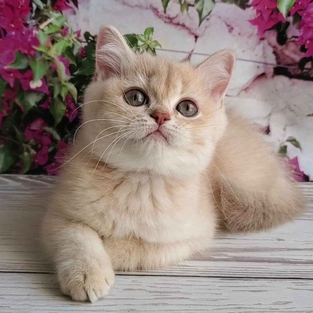 
                  
                    Alan
                  
                