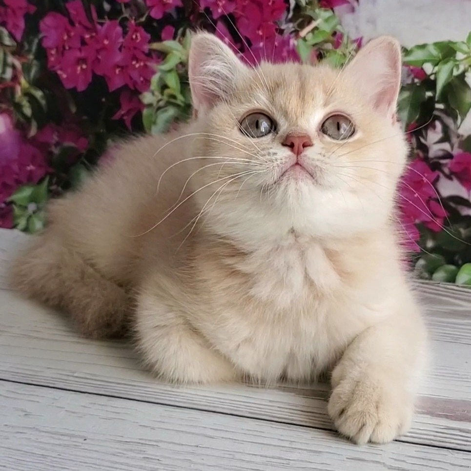 
                  
                    Alan
                  
                