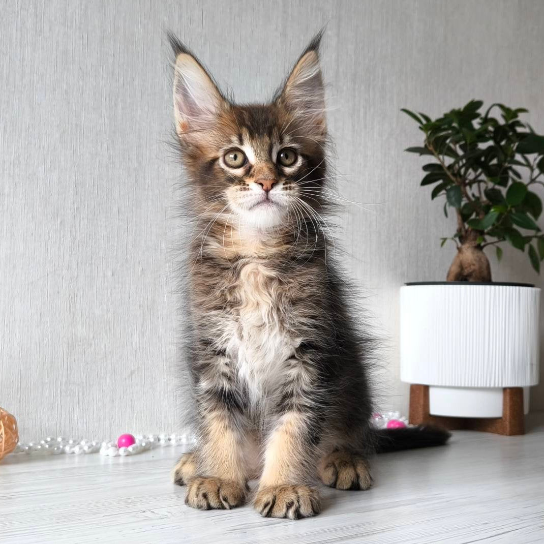 
                  
                    Leroy
                  
                