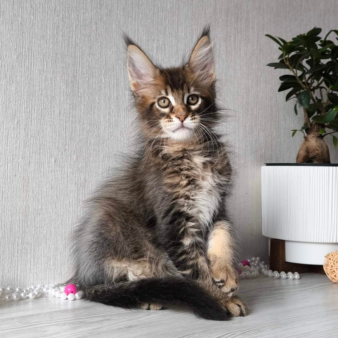 
                  
                    Leroy
                  
                