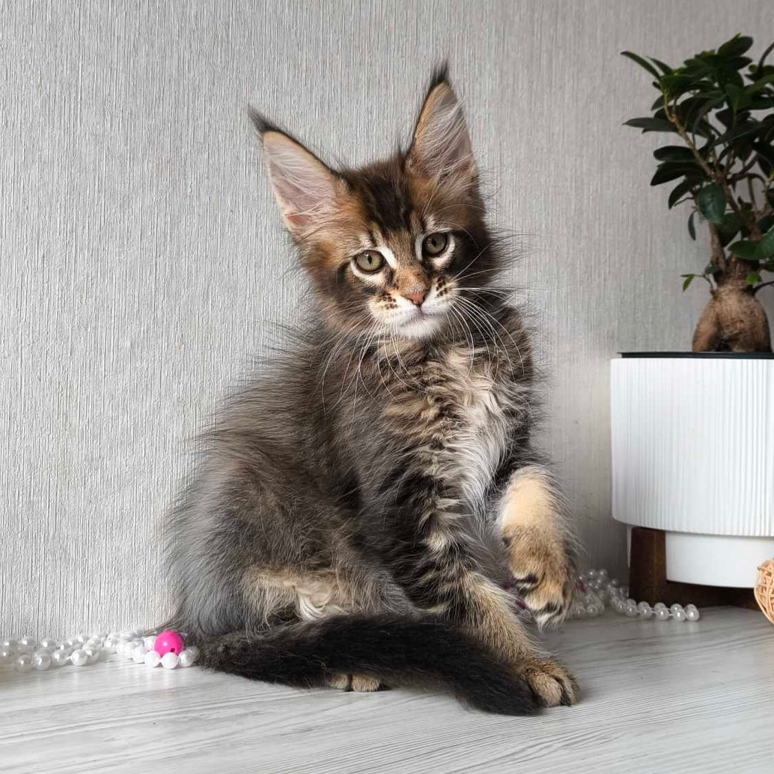 
                  
                    Leroy
                  
                