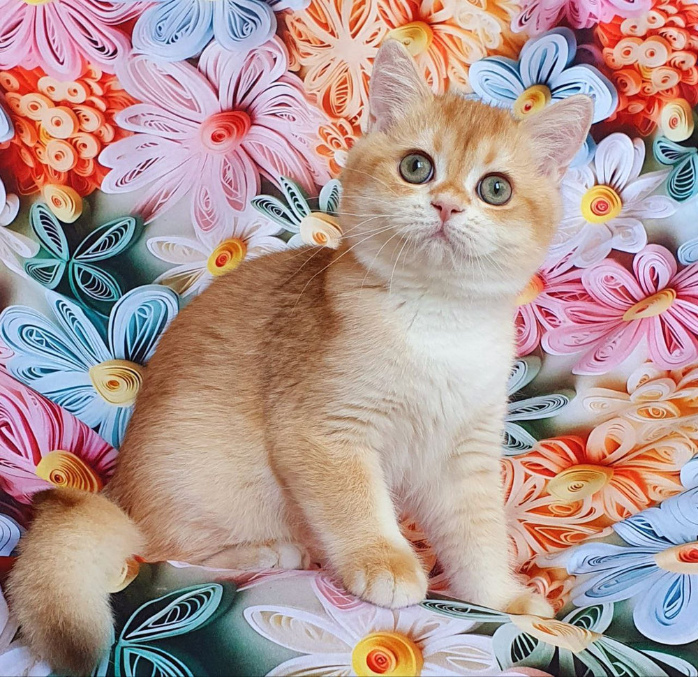 
                  
                    Kevin
                  
                