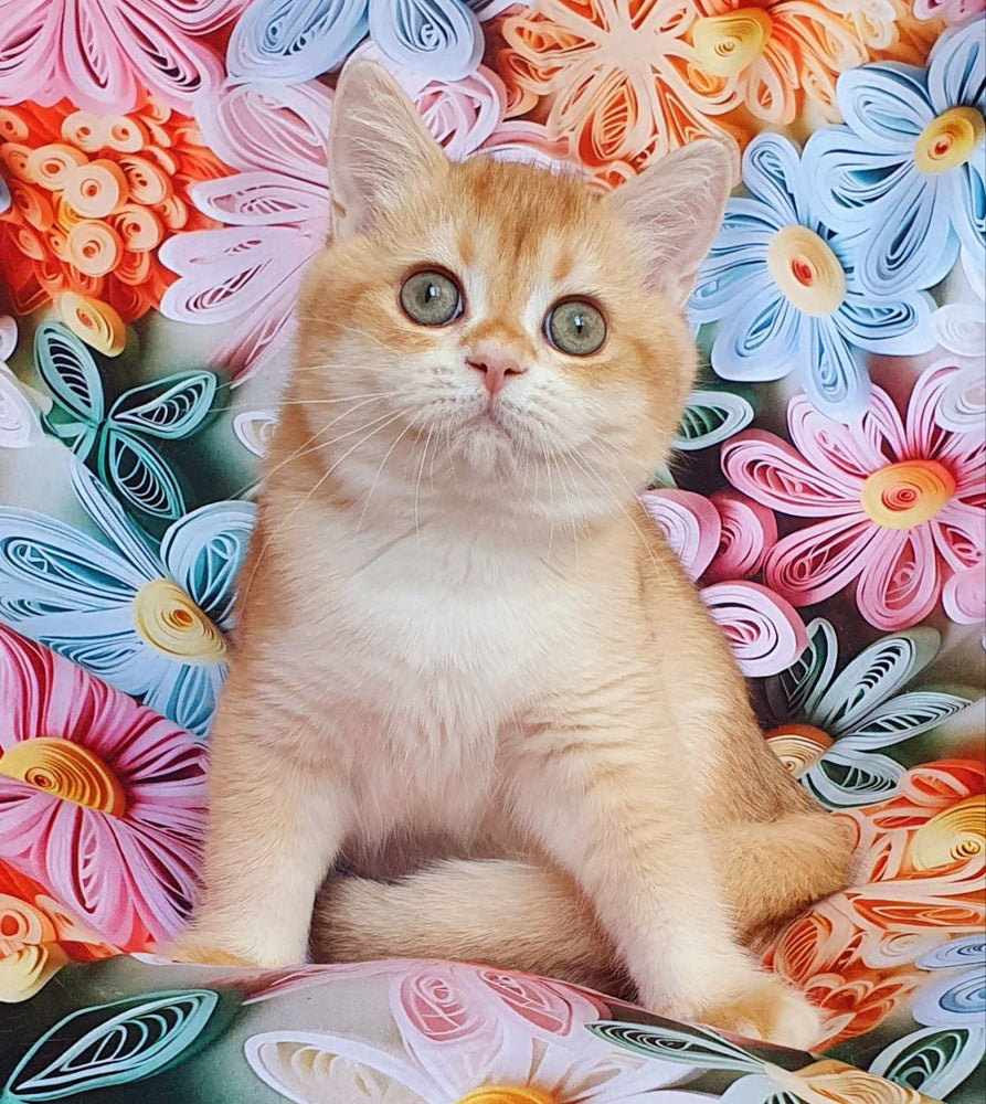 
                  
                    Kevin
                  
                