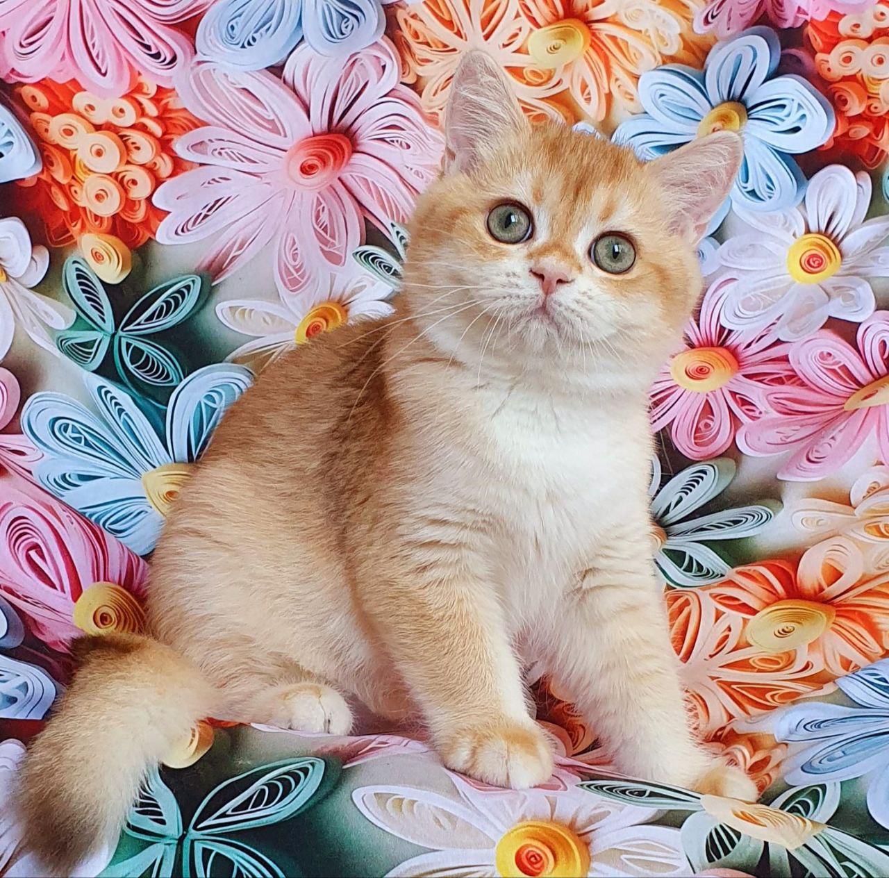 
                  
                    Kevin
                  
                
