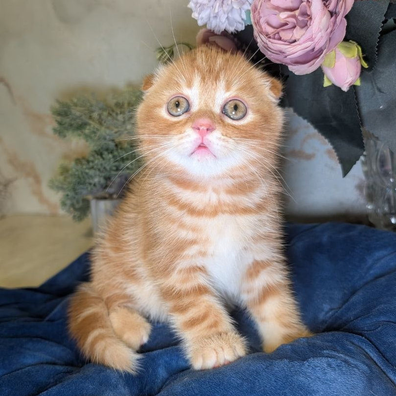 
                  
                    Alan
                  
                