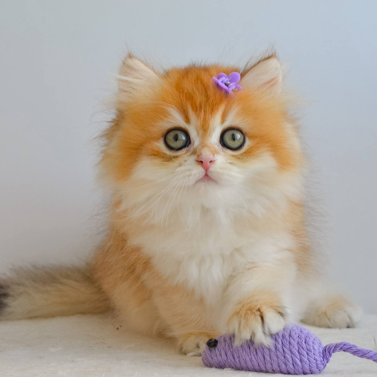 
                  
                    Gina
                  
                