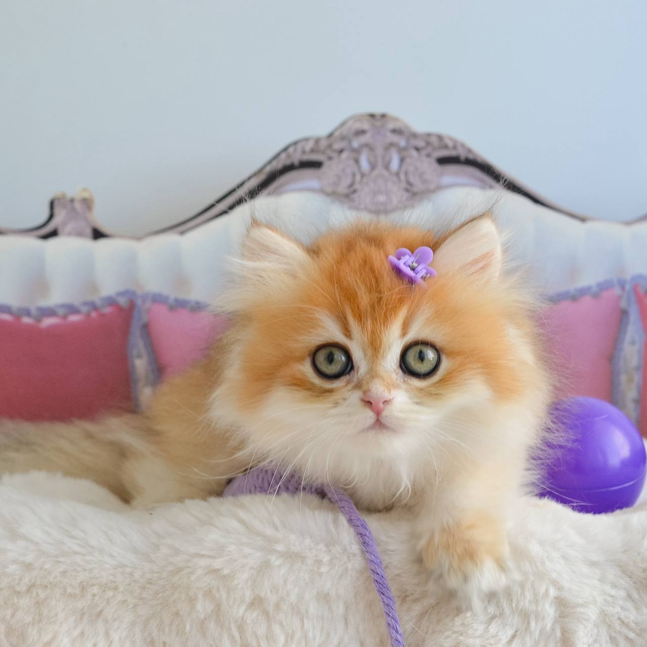 
                  
                    Gina
                  
                