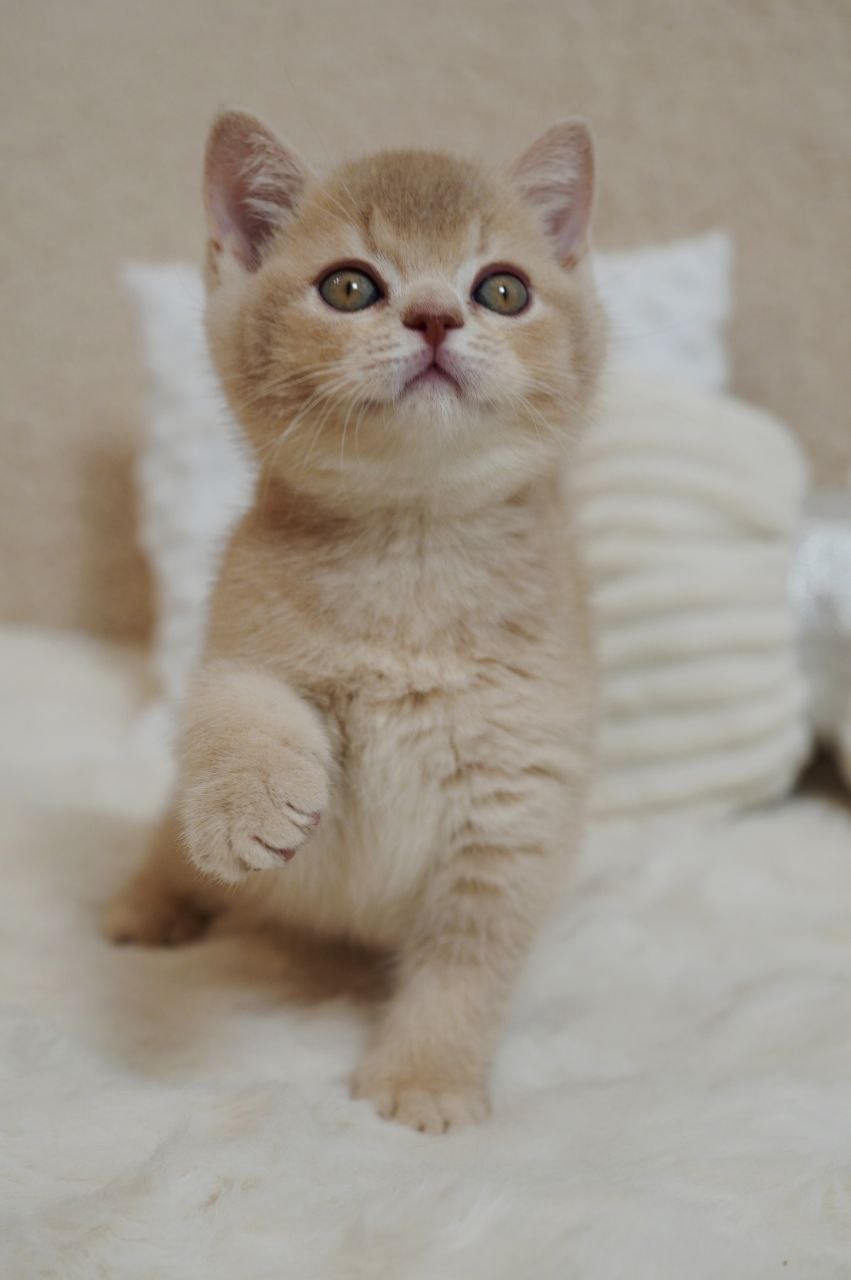 
                  
                    Winston
                  
                