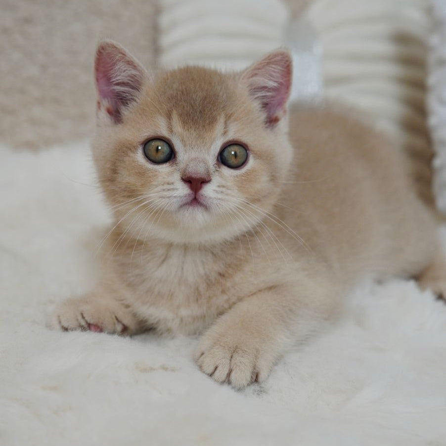 
                  
                    Winston
                  
                
