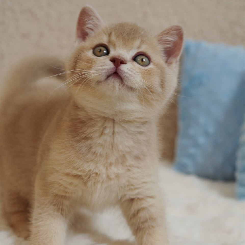 
                  
                    Winston
                  
                