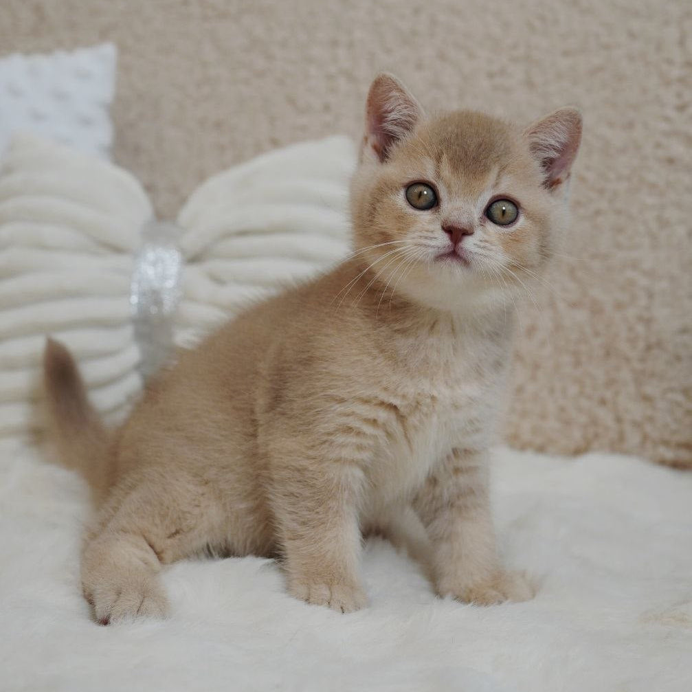 
                  
                    Winston
                  
                