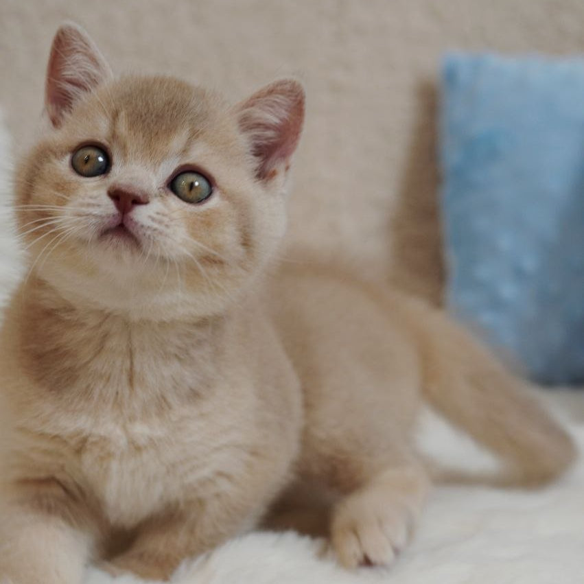 
                  
                    Winston
                  
                