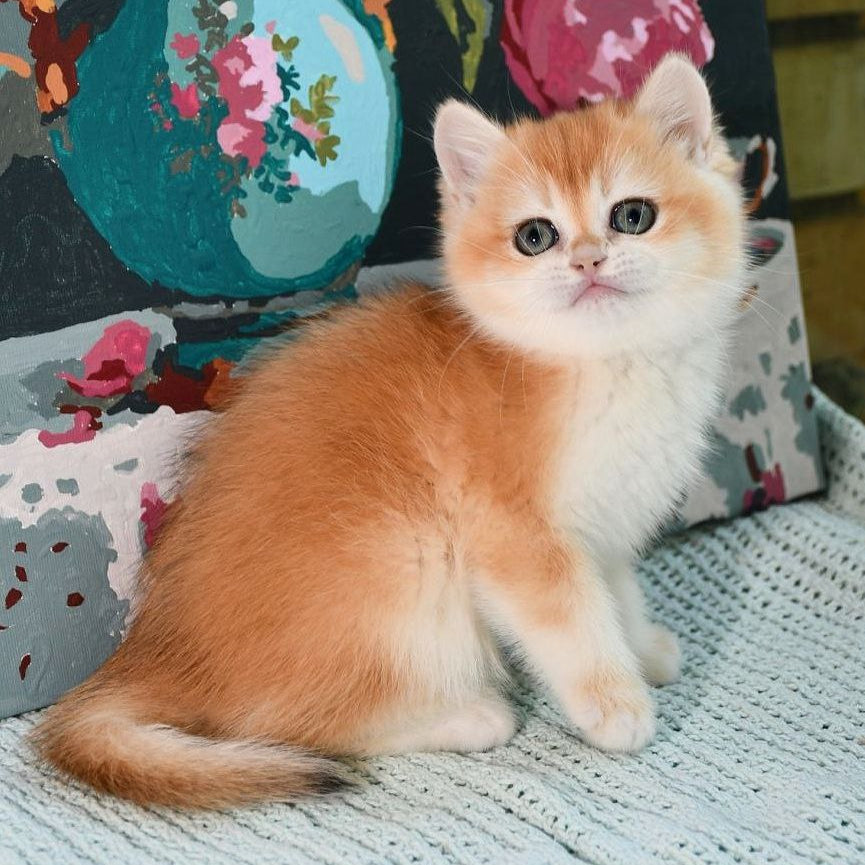 
                  
                    Bekki
                  
                