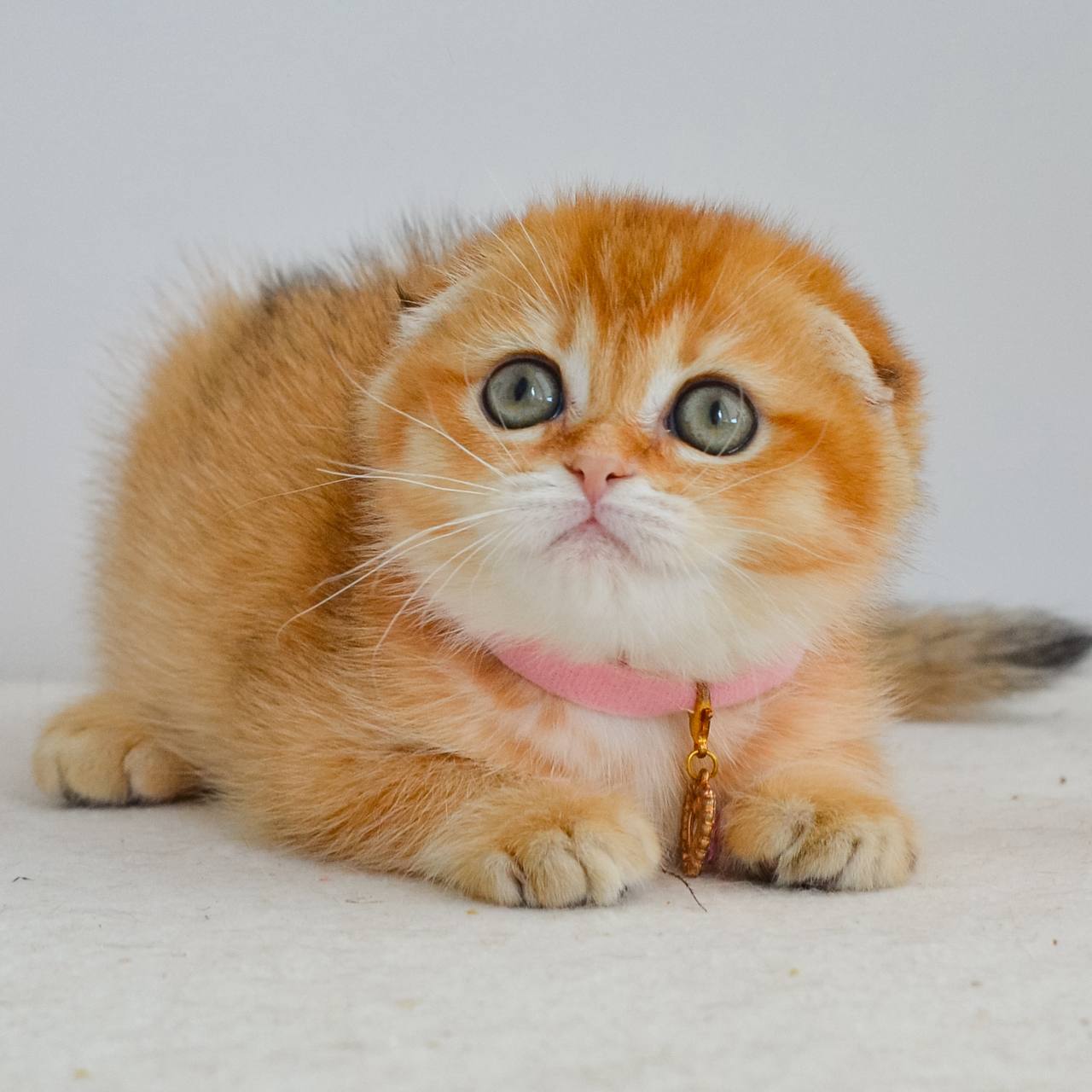 
                  
                    Kaia
                  
                