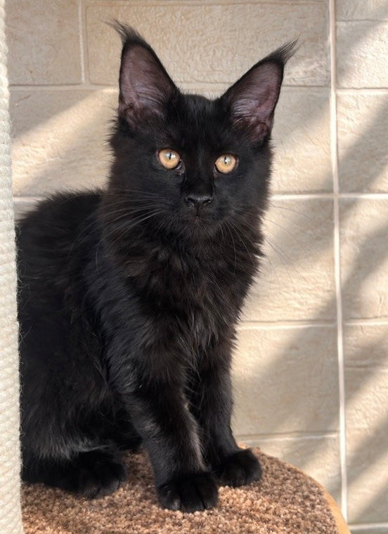 
                  
                    Jein
                  
                