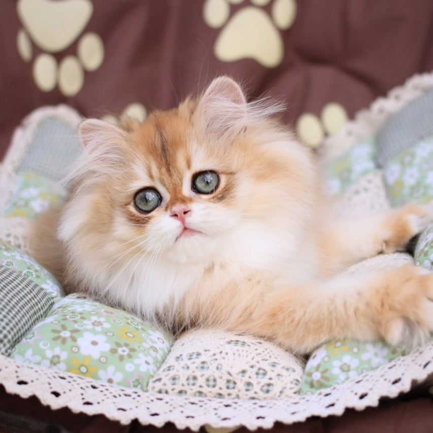 
                  
                    Margo
                  
                