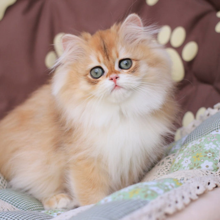 
                  
                    Margo
                  
                