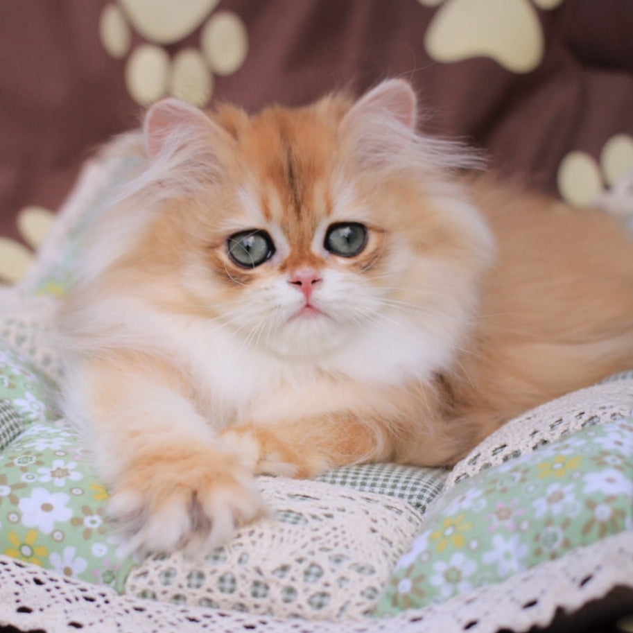 
                  
                    Margo
                  
                