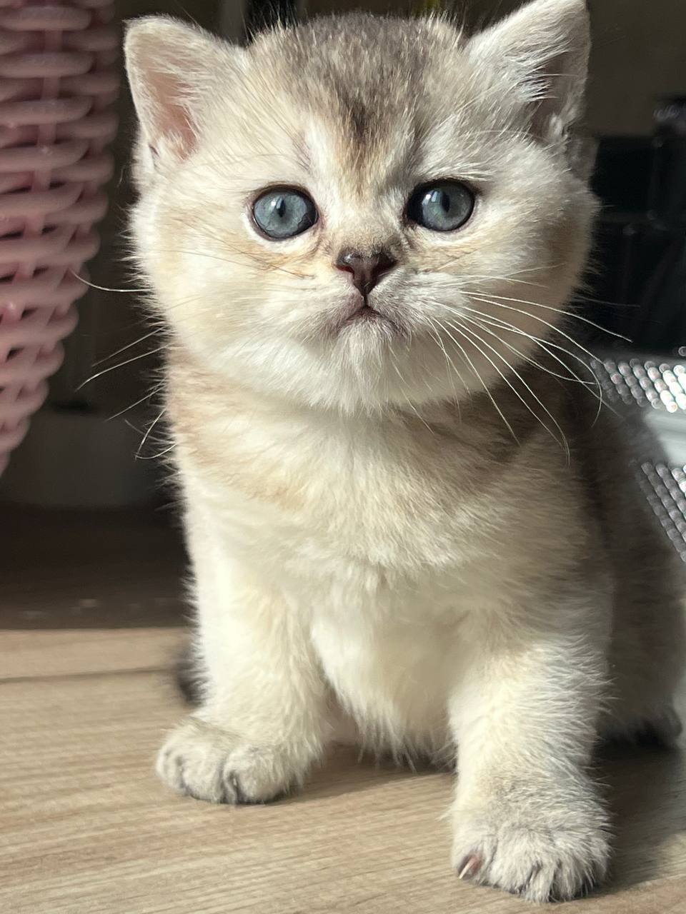 
                  
                    Kevin
                  
                