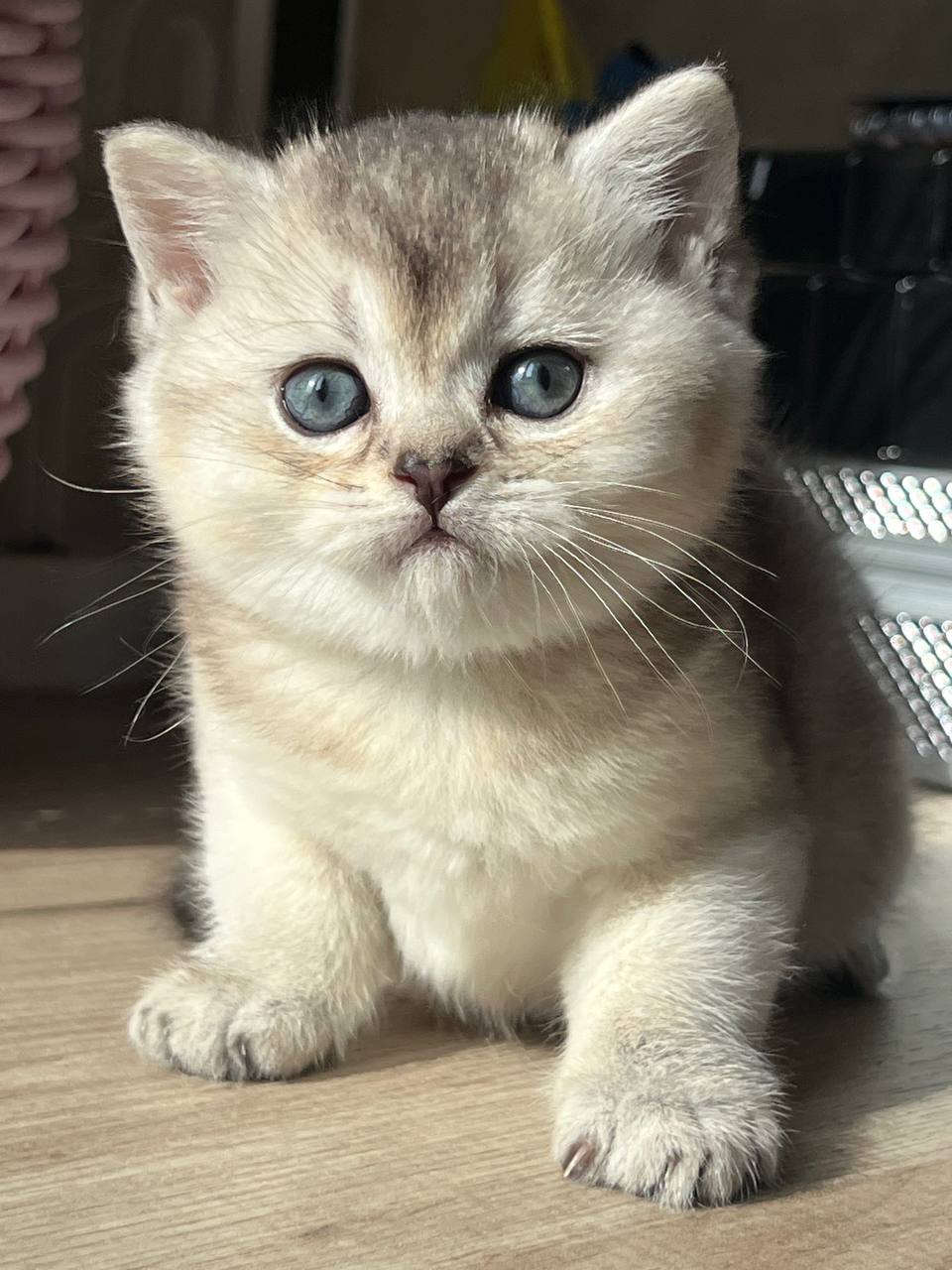 
                  
                    Kevin
                  
                