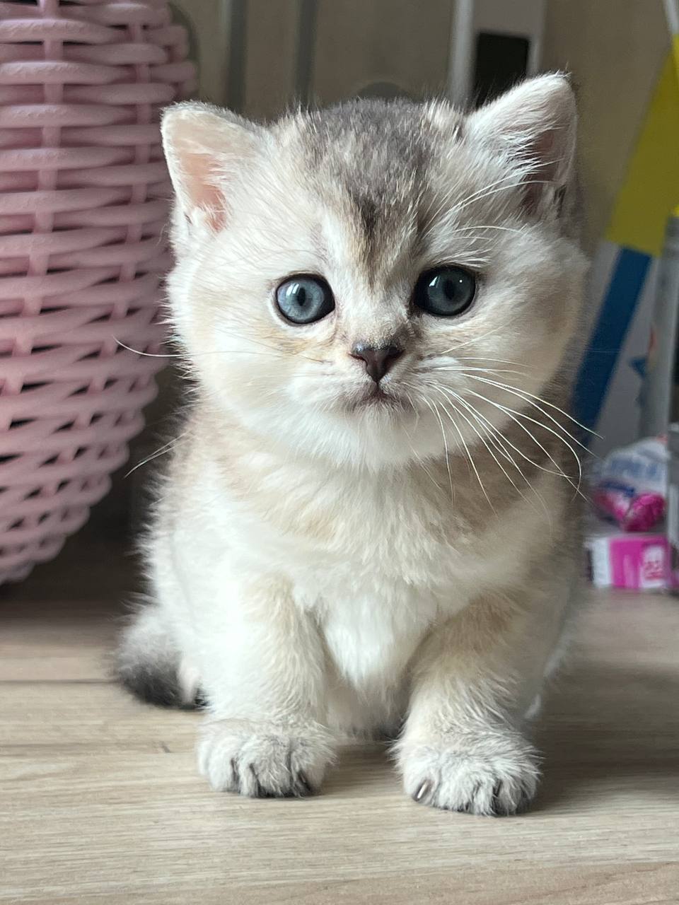 
                  
                    Kevin
                  
                