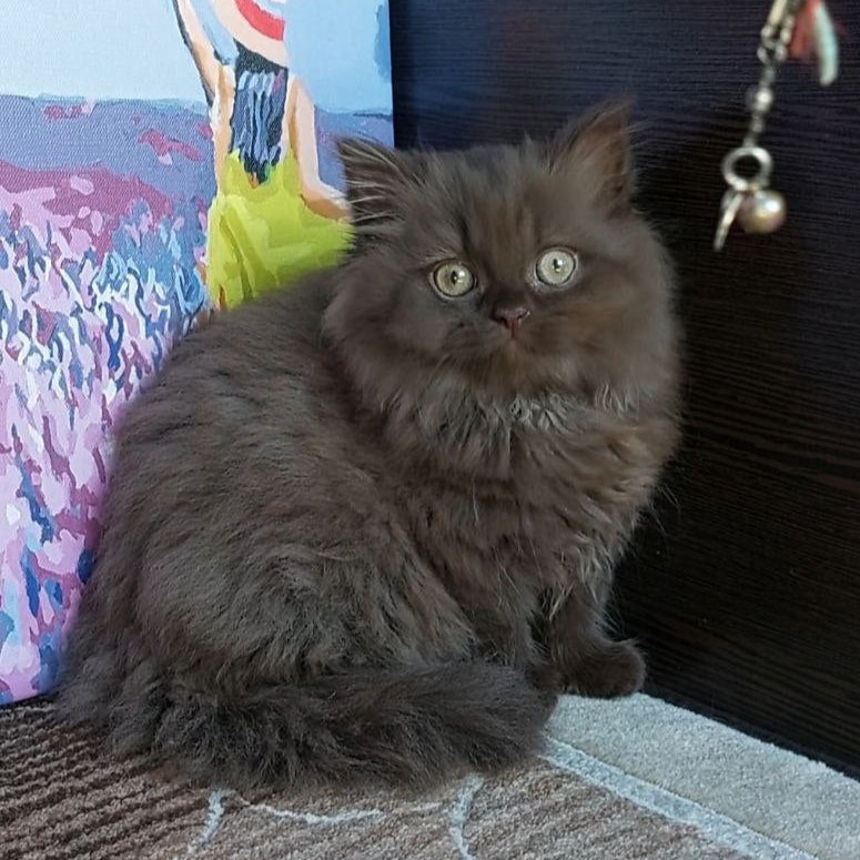 Simonna