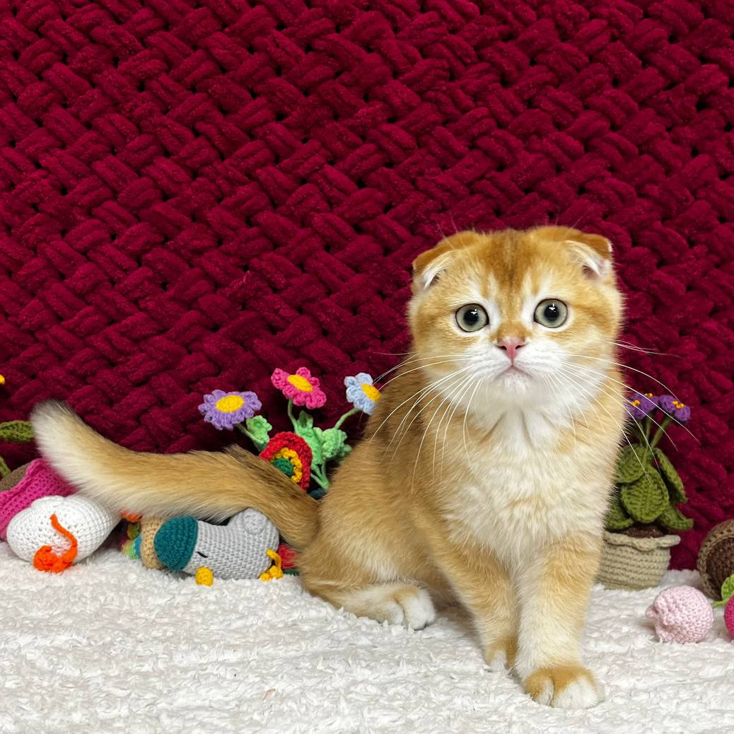 
                  
                    Winston
                  
                