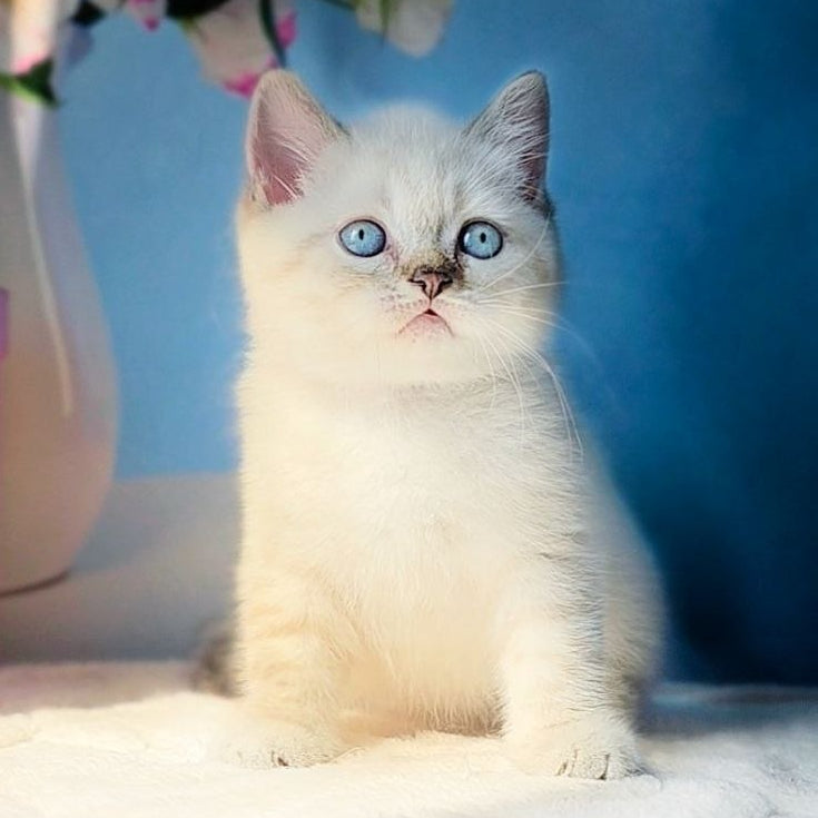 
                  
                    Charlie
                  
                