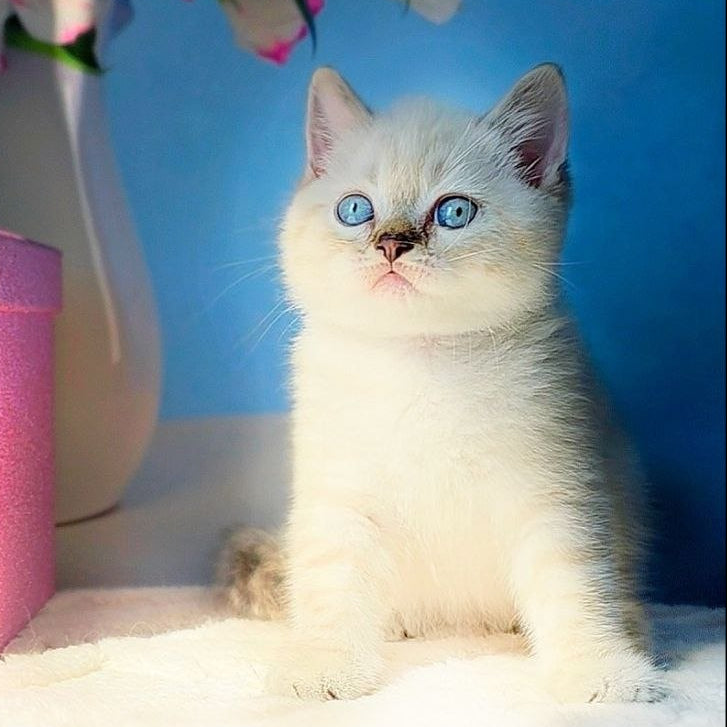 
                  
                    Charlie
                  
                
