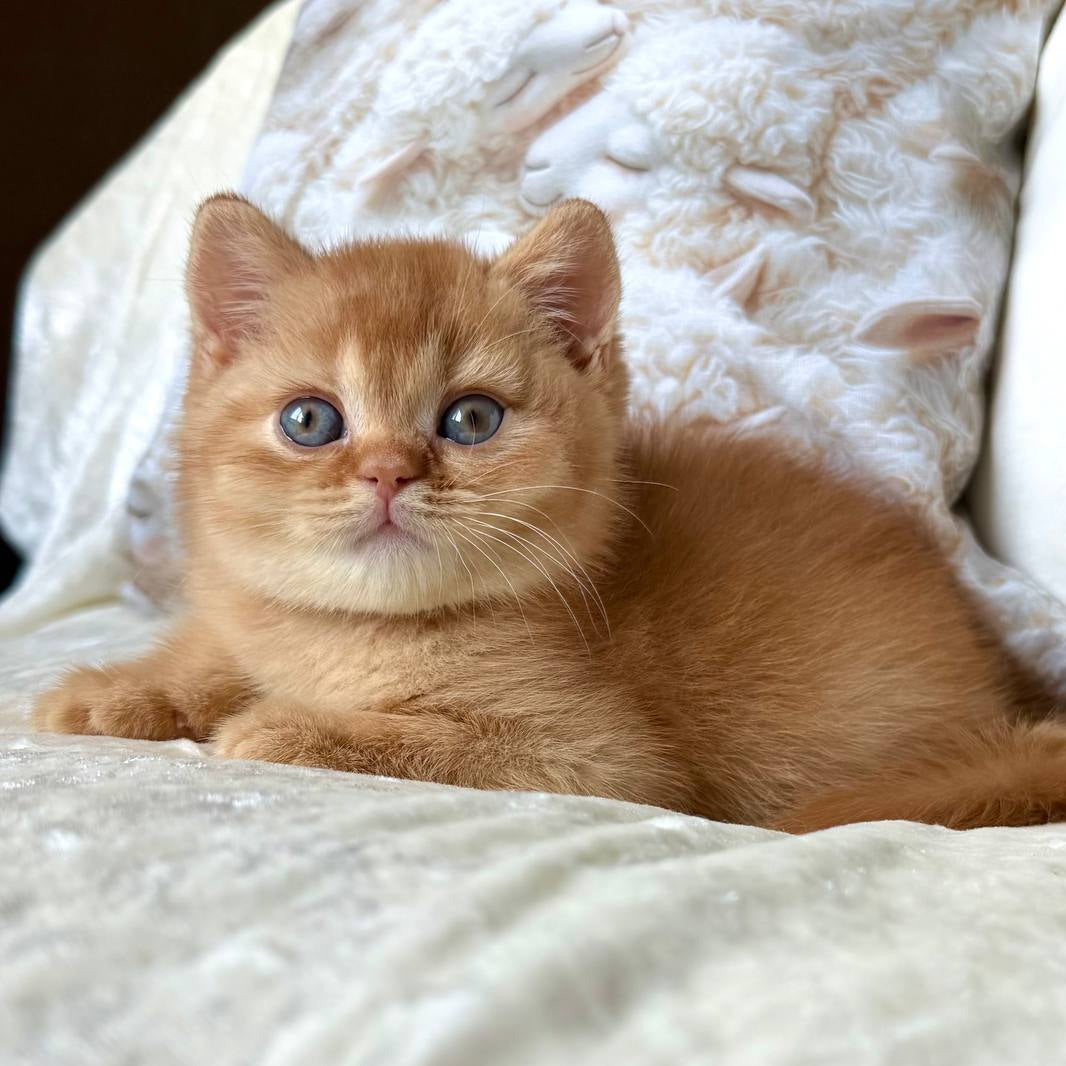 
                  
                    Mine
                  
                