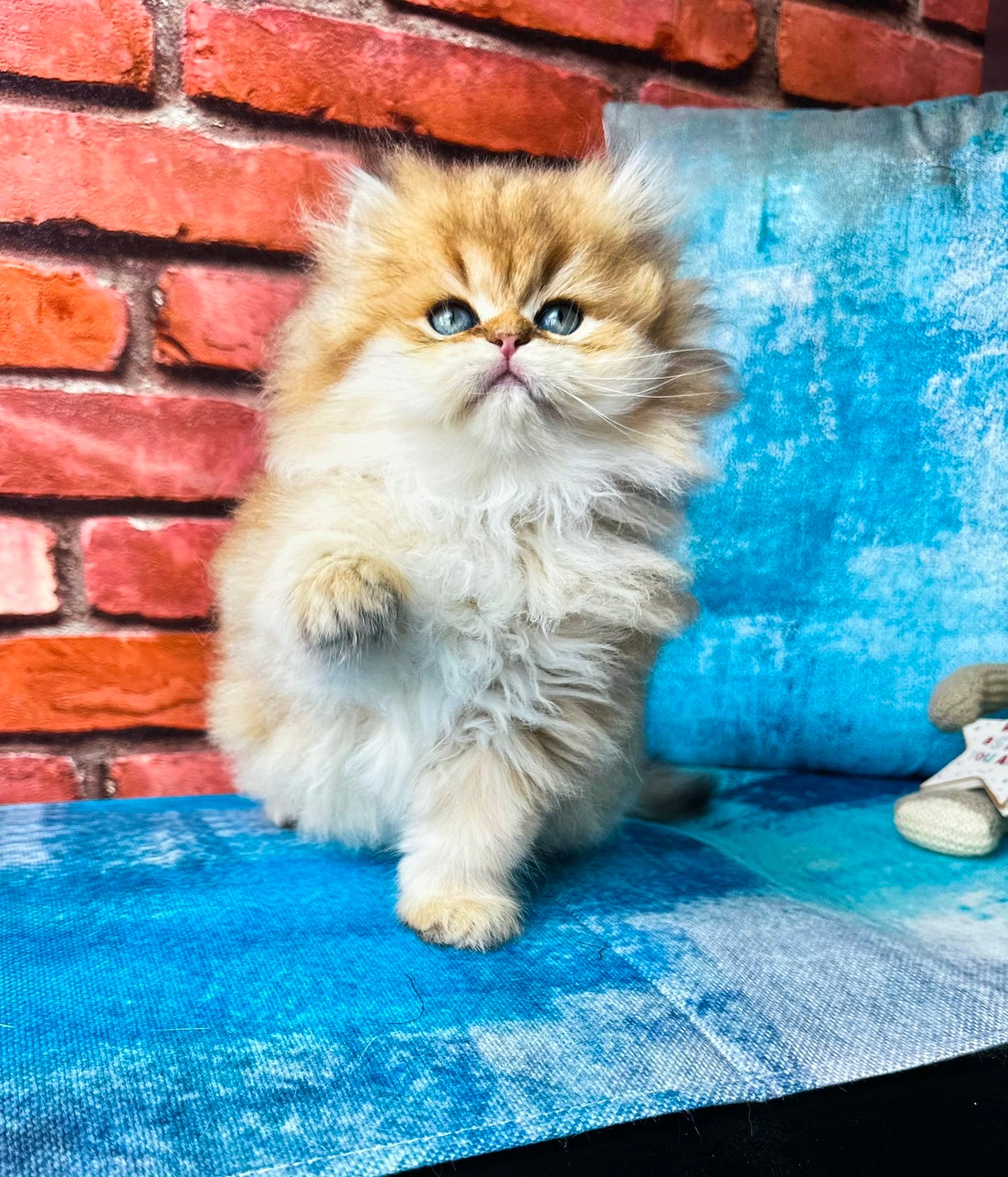 
                  
                    Karyna
                  
                