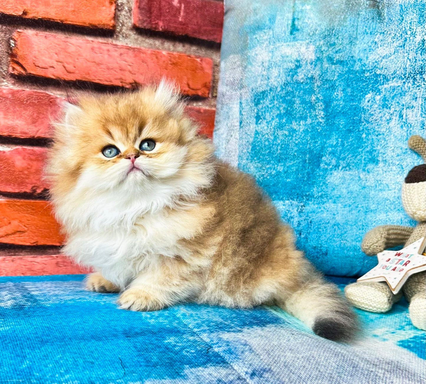 
                  
                    Karyna
                  
                