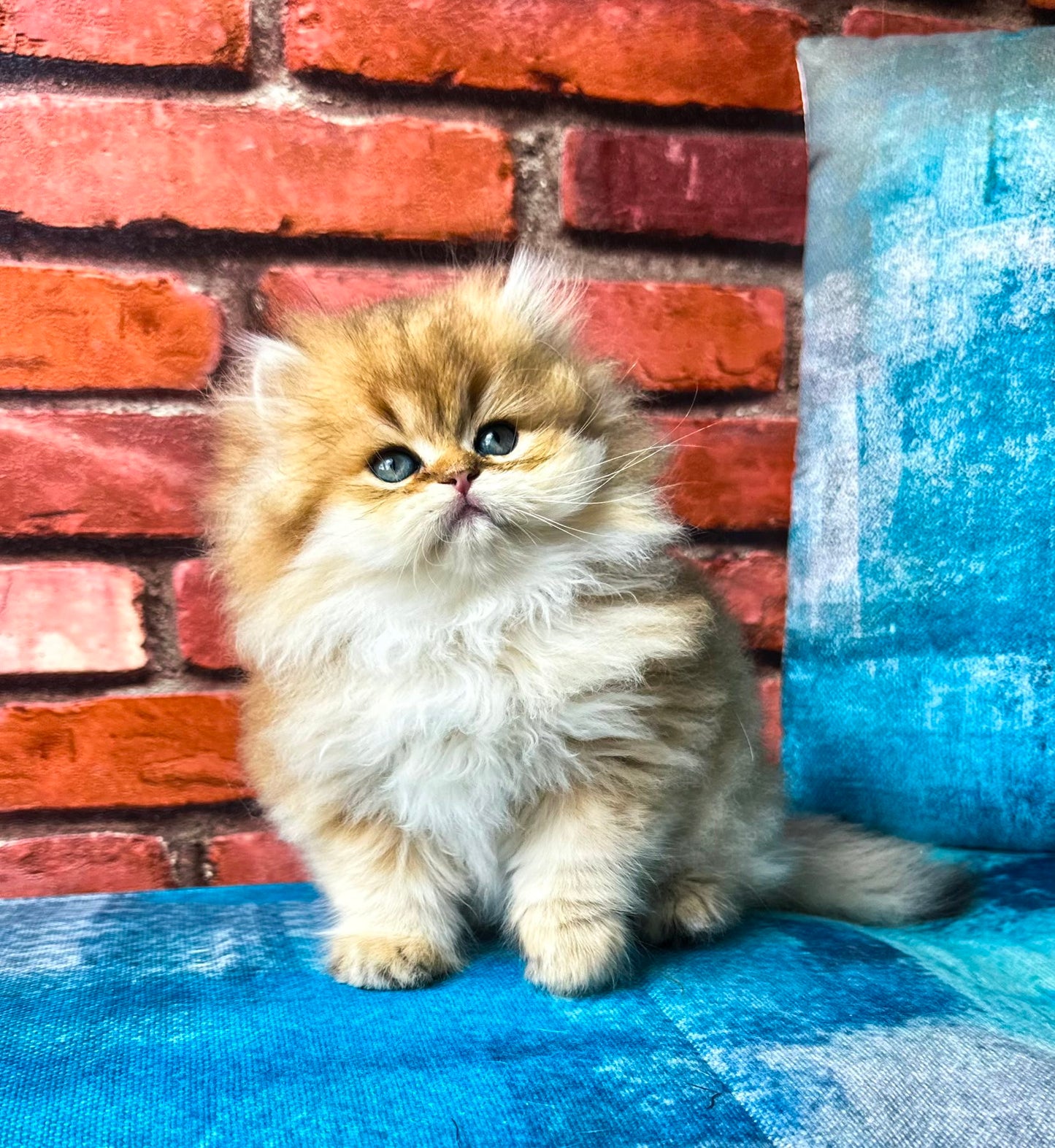 
                  
                    Karyna
                  
                