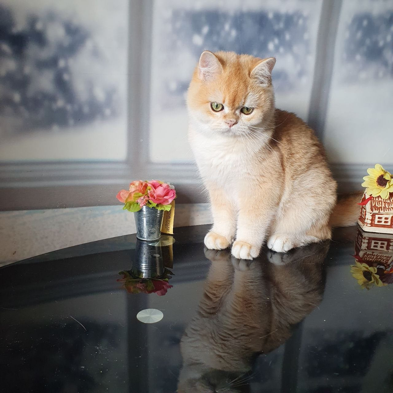 
                  
                    Robert
                  
                