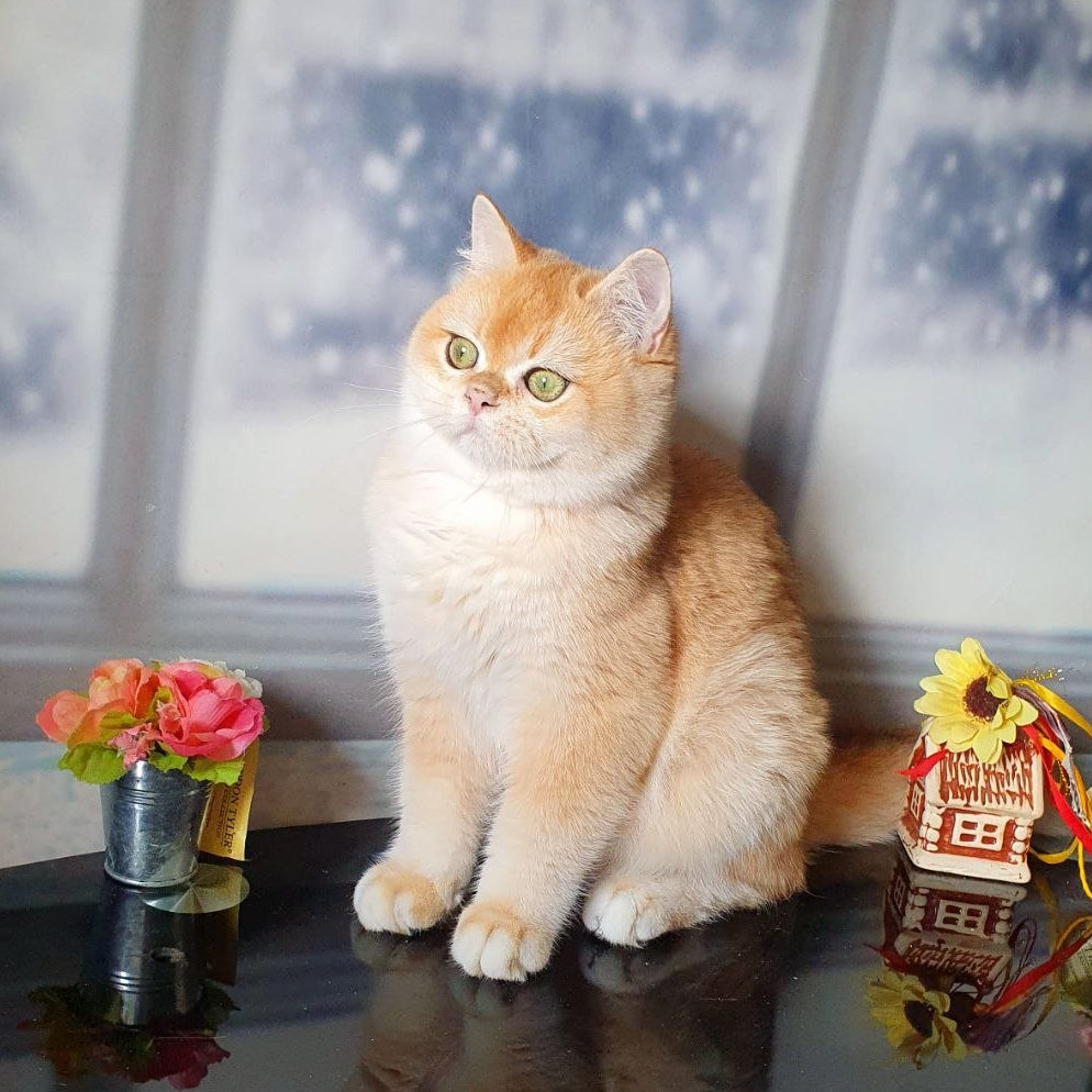 
                  
                    Robert
                  
                
