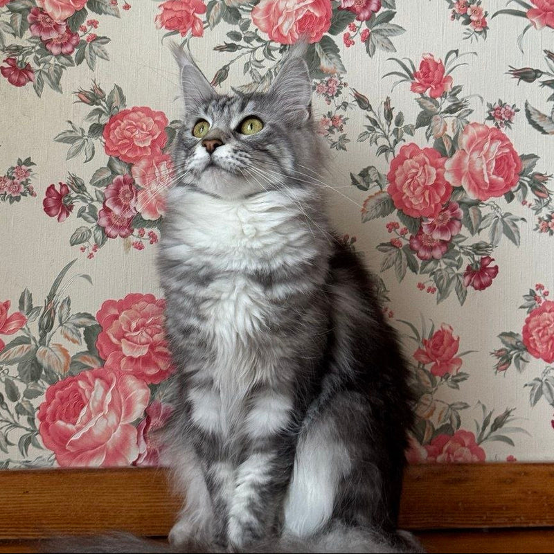 Cathie