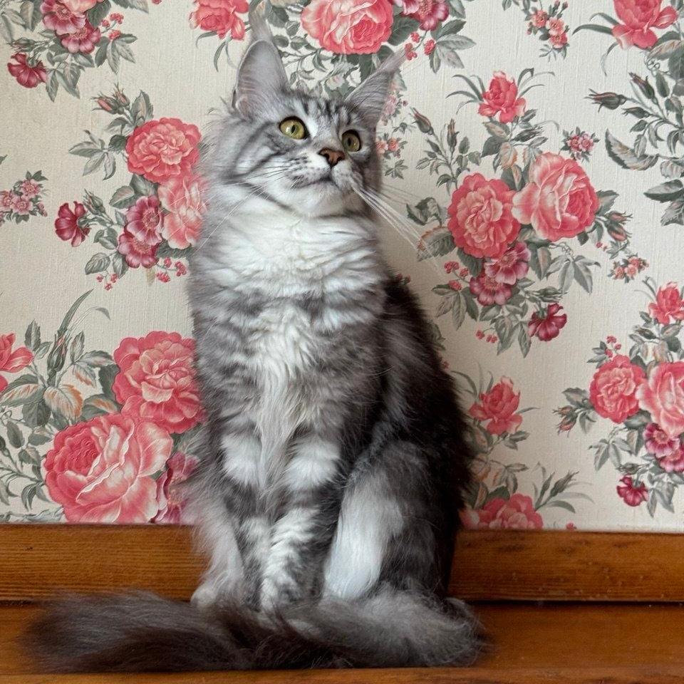 
                  
                    Cathie
                  
                