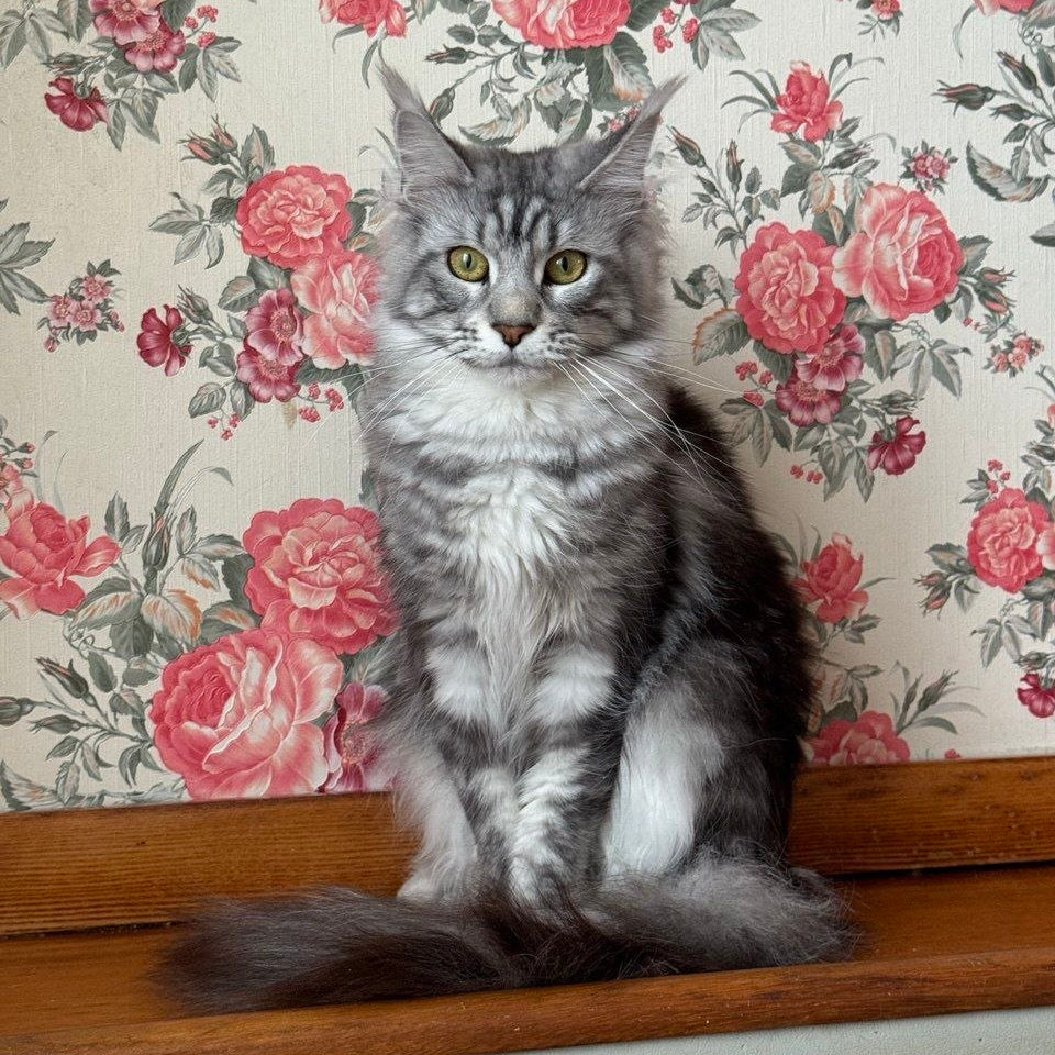 
                  
                    Cathie
                  
                