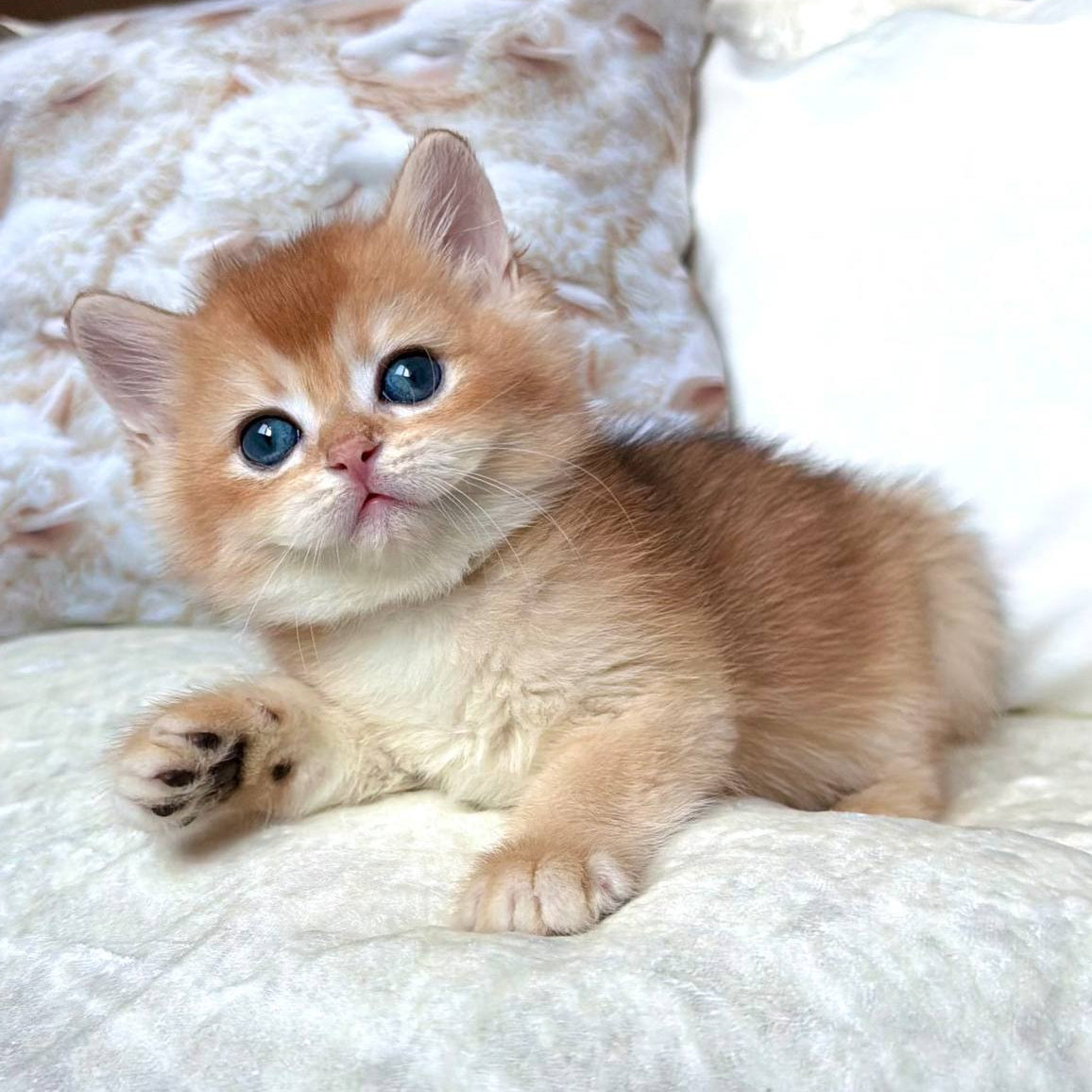 
                  
                    Oliver
                  
                